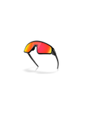 OAKLEY Latch Panel