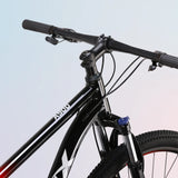 APEX A900 Mens I 29 Inch Alloy MTB