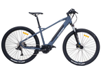 Boschendal Day E-Bike Rental