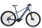 Boschendal Day E-Bike Rental