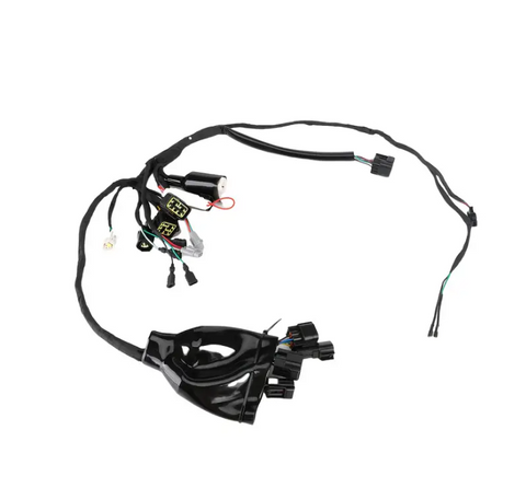 SURRON Full Main Wire Wiring Harness Assy LBX