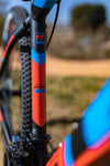 APEX A900 Mens 29 Inch Alloy MTB