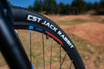 APEX A900 Mens 29 Inch Alloy MTB